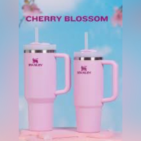 NWT STANLEY LISTING - live show listing for unlisted Stanley’s! - Picture 10 of 14